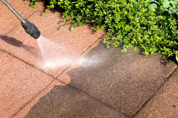 Best Sidewalk Pressure Washing  in Claryville, KY